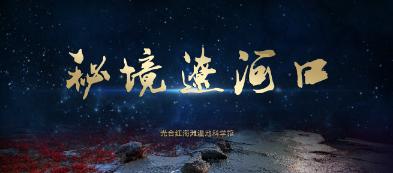 救援受困的长颈鹿